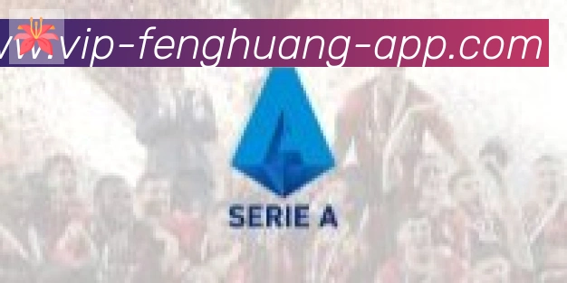 凤凰体育合作伙伴